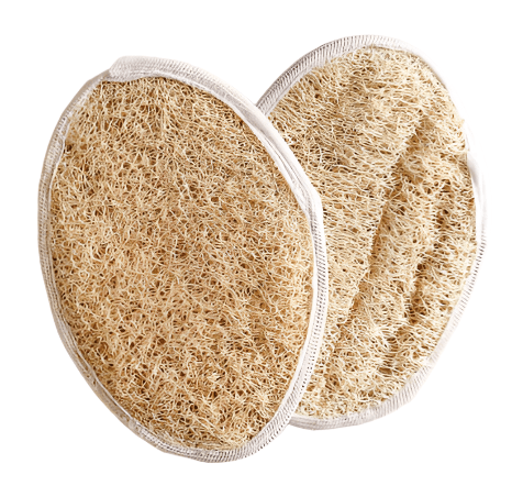 Sponge Gourd Loofah (Pack of 2)